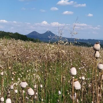 10.8.2020 - Krkonošská pouť (15.-22. srpna)