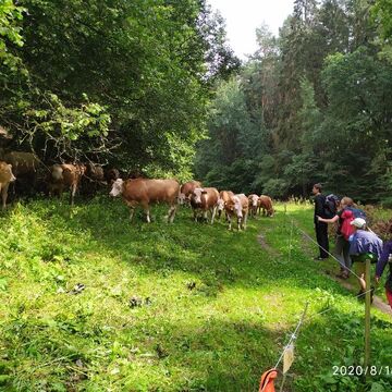 10.8.2020 - Krkonošská pouť (15.-22. srpna)