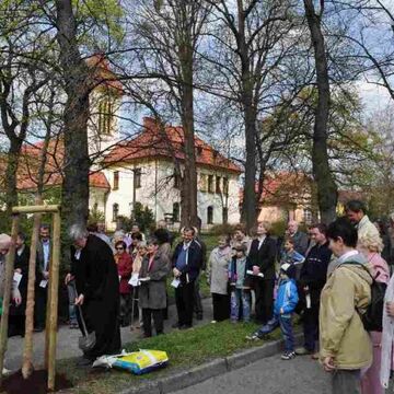 - Fünf hundert Bäume weltweit und im Luthergarten