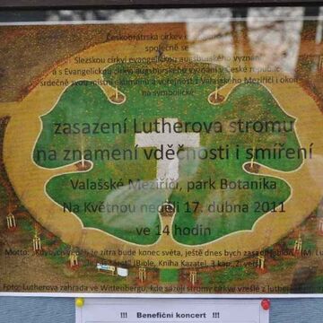  - Fünf hundert Bäume weltweit und im Luthergarten