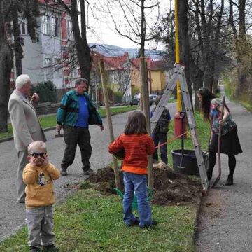  - Fünf hundert Bäume weltweit und im Luthergarten