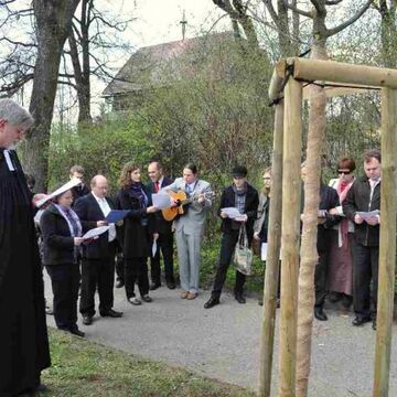  - Fünf hundert Bäume weltweit und im Luthergarten