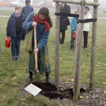  - Fünf hundert Bäume weltweit und im Luthergarten