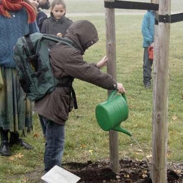  - Fünf hundert Bäume weltweit und im Luthergarten